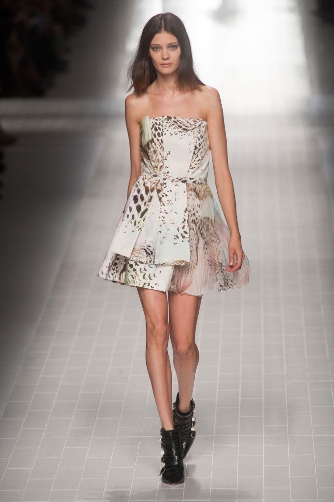 夏夜花园中的美丽蝴蝶 - 动物元素animal elements - 天天时装-口袋里